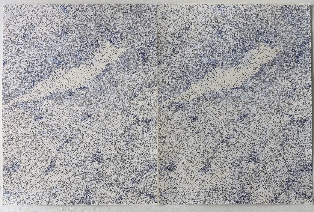 Lithography 50 x 65 + 50 x 65 cm 2013